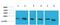 Peptidylprolyl Isomerase B antibody, GTX34136, GeneTex, Western Blot image 