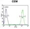 IKAROS Family Zinc Finger 1 antibody, abx025640, Abbexa, Flow Cytometry image 