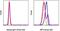 Interferon Regulatory Factor 5 antibody, 50-9698-42, Invitrogen Antibodies, Flow Cytometry image 