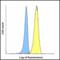 T Cell Immunoreceptor With Ig And ITIM Domains antibody, LS-C669098, Lifespan Biosciences, Flow Cytometry image 