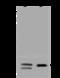 Vacuolar Protein Sorting 25 Homolog antibody, 200923-T44, Sino Biological, Western Blot image 