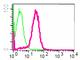 Interferon Alpha And Beta Receptor Subunit 1 antibody, ab45172, Abcam, Flow Cytometry image 