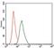 RUNX Family Transcription Factor 3 antibody, GTX60639, GeneTex, Flow Cytometry image 