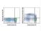 Marginal Zone B Cells antibody, 50-9489-80, Invitrogen Antibodies, Flow Cytometry image 