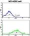Cadherin 6 antibody, abx027844, Abbexa, Flow Cytometry image 
