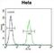 Lemur Tyrosine Kinase 3 antibody, abx026314, Abbexa, Flow Cytometry image 