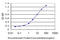 Serine/threonine-protein kinase Nek4 antibody, LS-C198282, Lifespan Biosciences, Enzyme Linked Immunosorbent Assay image 