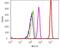 p21 antibody, 701151, Invitrogen Antibodies, Flow Cytometry image 