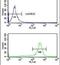 Ribosomal Protein S6 Kinase B2 antibody, PA5-26010, Invitrogen Antibodies, Flow Cytometry image 