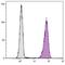 CD16 antibody, NBP1-28445, Novus Biologicals, Flow Cytometry image 