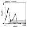 Rano class II histocompatibility antigen, A beta chain antibody, MA5-17428, Invitrogen Antibodies, Flow Cytometry image 