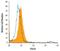 Folate Receptor Gamma antibody, AF5319, R&D Systems, Flow Cytometry image 