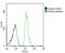 Ribosomal Protein L4 antibody, PA5-72300, Invitrogen Antibodies, Flow Cytometry image 