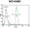 Leucine Zipper And EF-Hand Containing Transmembrane Protein 2 antibody, abx026754, Abbexa, Western Blot image 