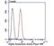 Synuclein Alpha antibody, NBP2-80442, Novus Biologicals, Flow Cytometry image 