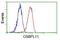 Oxysterol Binding Protein Like 11 antibody, NBP2-03327, Novus Biologicals, Flow Cytometry image 