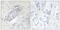 Zinc Finger Protein 232 antibody, PA5-38826, Invitrogen Antibodies, Immunohistochemistry frozen image 