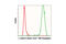 Tubulin Alpha 1b antibody, 5063S, Cell Signaling Technology, Flow Cytometry image 