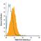 Folate Hydrolase 1 antibody, FAB4234G, R&D Systems, Flow Cytometry image 