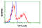 Fumarylacetoacetate Hydrolase Domain Containing 2A antibody, LS-C114996, Lifespan Biosciences, Flow Cytometry image 