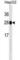 Histamine N-Methyltransferase antibody, abx025393, Abbexa, Western Blot image 