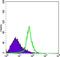 Integrin Subunit Alpha 5 antibody, NBP2-37666, Novus Biologicals, Flow Cytometry image 