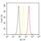 JunB Proto-Oncogene, AP-1 Transcription Factor Subunit antibody, 701702, Invitrogen Antibodies, Flow Cytometry image 