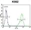 Interleukin 1 Receptor Like 2 antibody, abx027375, Abbexa, Western Blot image 