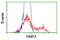 TIMP Metallopeptidase Inhibitor 2 antibody, LS-C173579, Lifespan Biosciences, Flow Cytometry image 