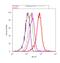 Discs Large MAGUK Scaffold Protein 2 antibody, PA1-043, Invitrogen Antibodies, Flow Cytometry image 