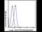 Thrombospondin 1 antibody, NBP1-52410, Novus Biologicals, Flow Cytometry image 