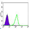 Coactivator Associated Arginine Methyltransferase 1 antibody, LS-C812747, Lifespan Biosciences, Flow Cytometry image 