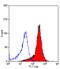 Syndecan 1 antibody, MCA2459, Bio-Rad (formerly AbD Serotec) , Immunofluorescence image 