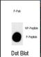 Insulin Like Growth Factor Binding Protein 3 antibody, LS-C163619, Lifespan Biosciences, Dot Blot image 