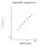 Peptidylprolyl Isomerase F antibody, NBP2-60646, Novus Biologicals, Enzyme Linked Immunosorbent Assay image 