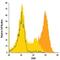 CD69 Molecule antibody, FAB23591A, R&D Systems, Flow Cytometry image 