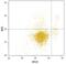 C-Type Lectin Domain Family 4 Member C antibody, AF1376, R&D Systems, Western Blot image 