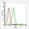 Collagen Type IV Alpha 1 Chain antibody, orb101038, Biorbyt, Flow Cytometry image 