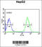 Phosphoribosylformylglycinamidine Synthase antibody, 61-648, ProSci, Immunofluorescence image 