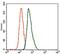 T antibody, GTX60616, GeneTex, Flow Cytometry image 