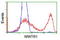WW Domain Containing Transcription Regulator 1 antibody, TA503438, Origene, Flow Cytometry image 