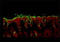 Lypd8 antibody, 152902, BioLegend, Immunohistochemistry frozen image 