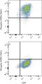 Signal Transducer And Activator Of Transcription 6 antibody, MAB3717, R&D Systems, Flow Cytometry image 
