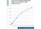 Glucagon Like Peptide 1 Receptor antibody, HYB 147-12-02, Invitrogen Antibodies, Enzyme Linked Immunosorbent Assay image 