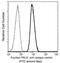 Prolactin Receptor antibody, GTX02117, GeneTex, Flow Cytometry image 