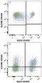 Activated Leukocyte Cell Adhesion Molecule antibody, FAB1172F, R&D Systems, Flow Cytometry image 