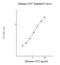 CD7 Molecule antibody, NBP2-60555, Novus Biologicals, Enzyme Linked Immunosorbent Assay image 