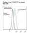 Activated Leukocyte Cell Adhesion Molecule antibody, LS-C134791, Lifespan Biosciences, Flow Cytometry image 