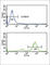 ETS Variant 6 antibody, abx034158, Abbexa, Western Blot image 