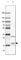 Eukaryotic Translation Initiation Factor 1A Y-Linked antibody, HPA002561, Atlas Antibodies, Western Blot image 